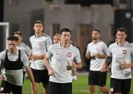 金年会官方网站-包含波兰队在比赛中以一球小胜阿尔巴尼亚，取得了胜利的词条