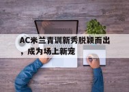 金年会官方入口-ac米兰新员