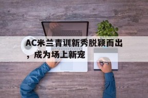 金年会官方入口-ac米兰新员