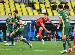 包含郑州绿城胜董事成都冠城，迎来开门红的词条